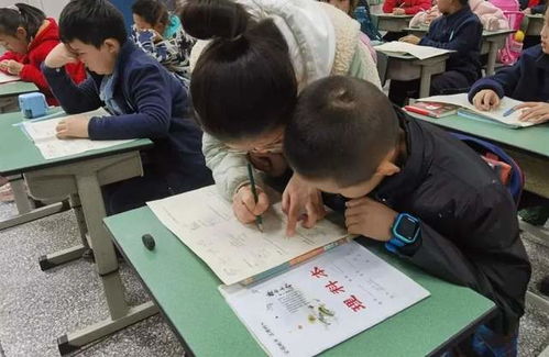 学校用心,学生开心,家长放心 记天府新区白沙小学周末托管服务