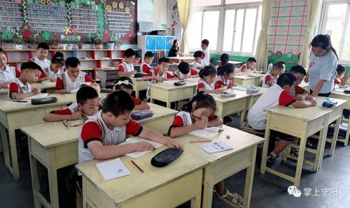 多图记录 宁阳暑期托管正式启动，全县2400余名学生共享多彩假期