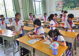 县城四所公办小学试点校内托管 学生更安心，家长更放心